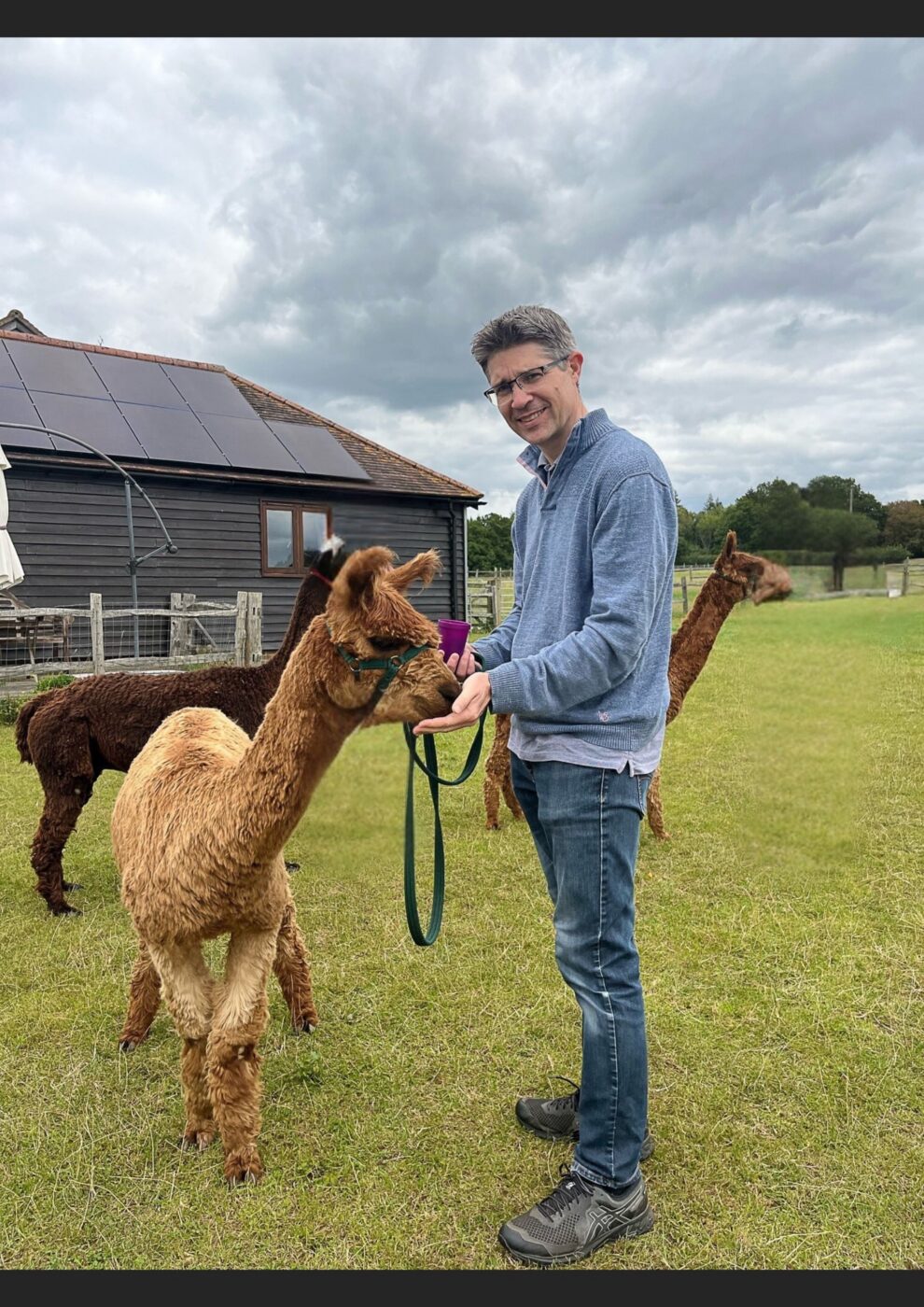 This image has an empty alt attribute; its file name is Mart-Sweetinburgh-Patent-and-Trade-Mark-Attorney-with-Alpaca-990x1400.jpg